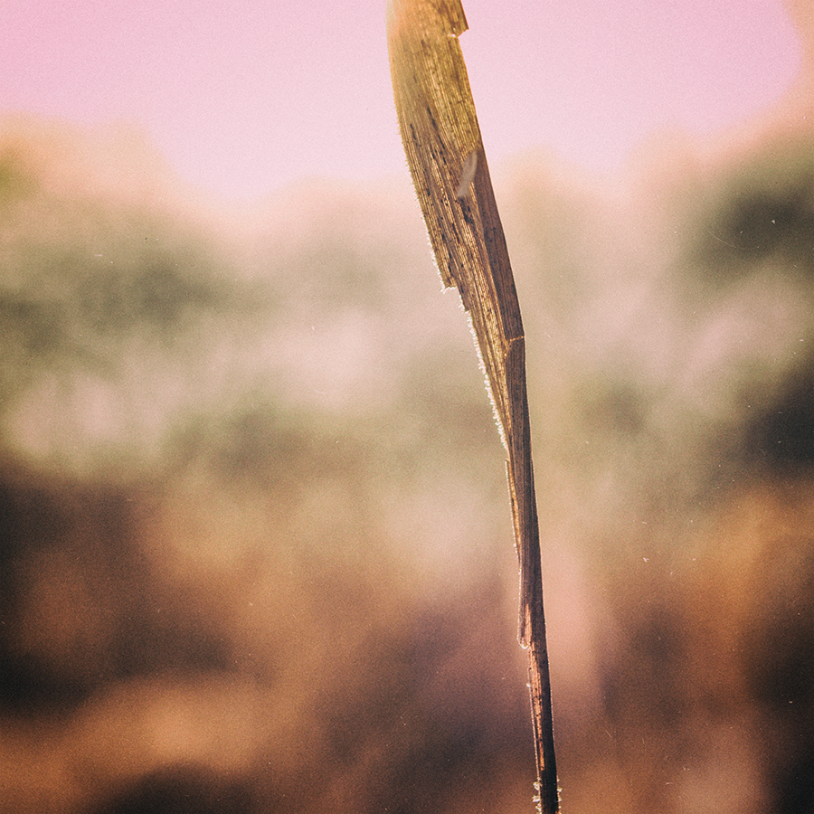 Holocene The Photographic World Of Tom Wasilewski