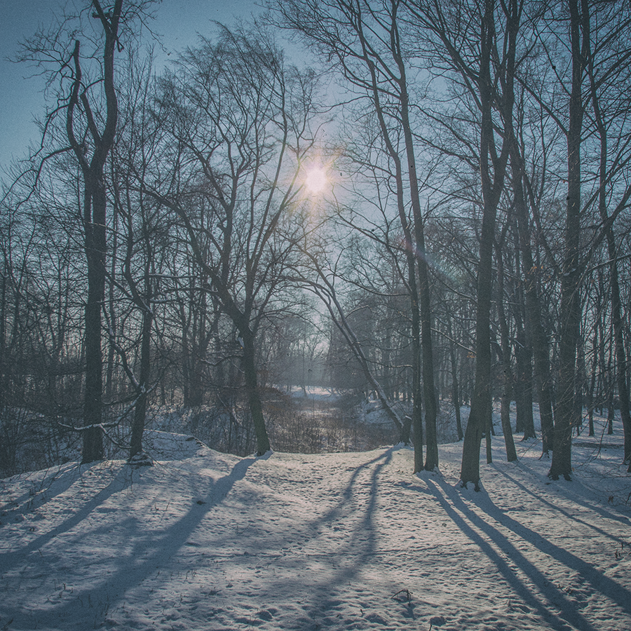 13 FEET OF SNOW visual data 6