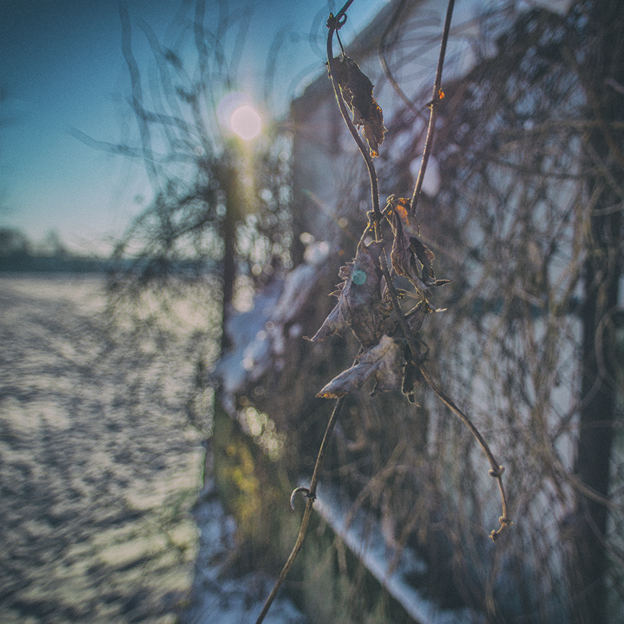 13 FEET OF SNOW visual data 7